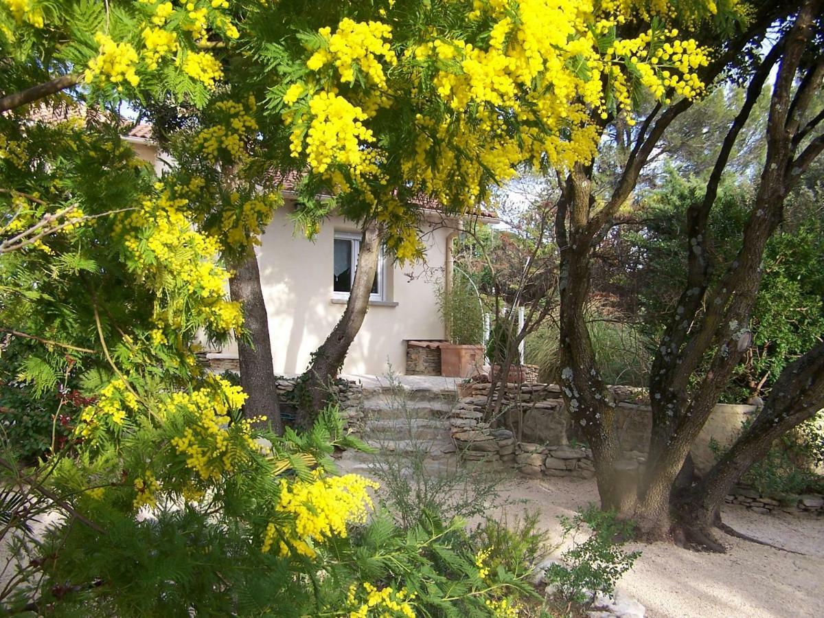LʼIsle-sur-la-Sorgue Les Florides 아파트 외부 사진
